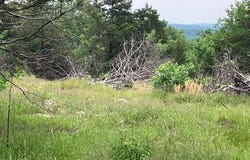 285 Madison CR 410, Fredericktown, MO 63645