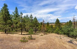 NKA Rowland Rd, Lyle, WA 98635