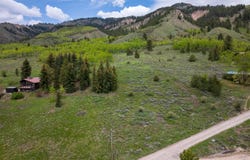 CHOKE CHERRY Lane lot: 2, Irwin, ID 83428