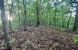 Farm Road 2170, Exeter, MO 65647