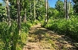 Shenfield Road, Turner, MI 48765