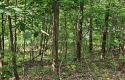 9468 Bent Tree Drive, Hillsboro, MO 63050