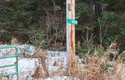 4294 Clyde Rd, Eveleth, MN 55734