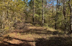 2014 Sanders Lane, Utica, MS 39175