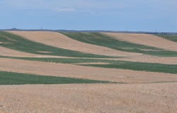 HARVEY RD, Wheatland, WY 82201