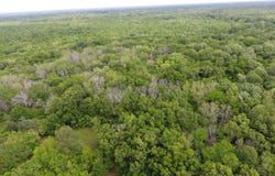 750 Bonnette Road, Fifthward, LA 71351
