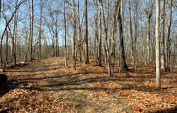 18.19 Ac Spence Ln, Hilham, TN 38568