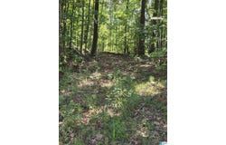 HIGHWAY 280 lot: 5, SYLACAUGA, AL 35150