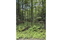 Anderson Road, Grafton, VT 05146