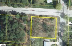 Brook Avenue, Kaleva, MI 49645