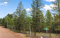 810 Ridge Road, Divide, CO 80814