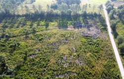 Sinclair Road, Columbia, MS 39429