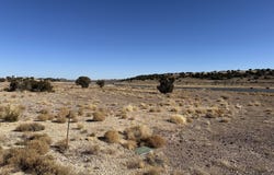9 County Road 5700, Concho, AZ 85924