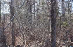 Ashley Drive, Goshen, CT 06756