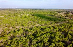 CR 253, Comanche, TX 76442