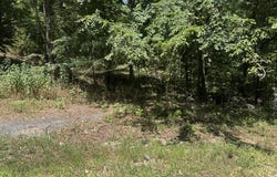 10 Pine Lane lot: 67, Holiday Island, AR 72631