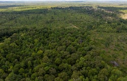 Blocker Road, Marshall, TX 75672