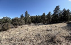 Canyon Rd, Cotopaxi, CO 81223