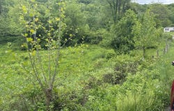 Route 32 (Rr), Dryfork, WV 26263