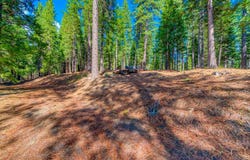954 Red Fox Road, Clio, CA 96106