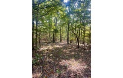Moore Road, Mountain Grove, MO 65711