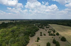 50 acres County Road 1026, Celeste, TX 75423