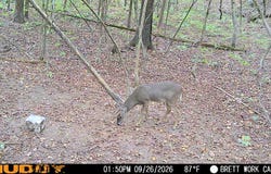 50.65+/- acres off SR 164 W, Dover, AR 72837