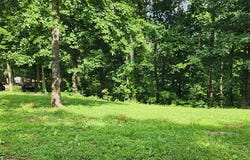 Lakeview Trail, HOLLADAY, TN 38341
