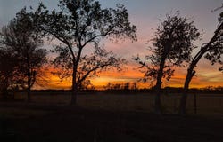 705 County Road 201, Marlin, TX 76661