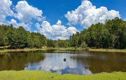Mars Hill Cemetary Rd, Marion, AL 36756