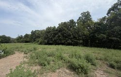 Forrest Road, Cameron, MO 64649