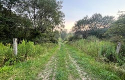 N Brookland Rd, Ulysses, PA 16948