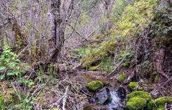 NNA N Corbin Hill Rd, Hayden, ID 83835