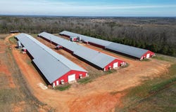 219 County Road 6628, BANKS, AL 36005