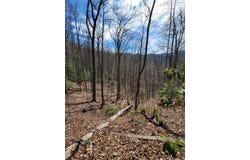 Watson Cove Rd., Franklin, NC 28734