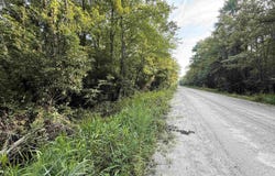 Wolf Pit Bay Rd., Nichols, SC 29581