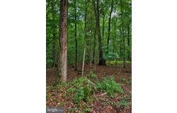 BOULDER Road, UPPER BLACK EDDY, PA 18972