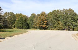 Wild Turkey Road, West Plains, MO 65775