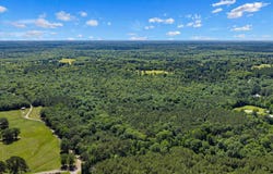 TBD CR 3361, DeBerry, TX 75639