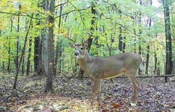 Proctor Mill Road, Russellville, KY 42276