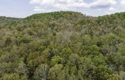 Buck Ridge Lane, Williford, AR 72482