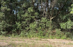 DEBRA Circle, Interlachen, FL 32148