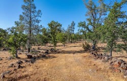 Dersch Road, Anderson, CA 96007
