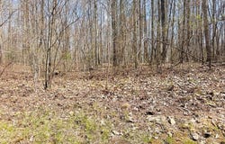 248 ROTHFIELD CIRCLE, SHADY SPRING, WV 25918