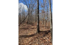 Madison 3605, Kingston, AR 72742