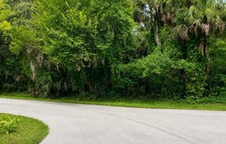 715 TENNESSEE TERRACE, ORMOND BEACH, FL 32174