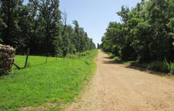 1315 Summit Road, Grovespring, MO 65662