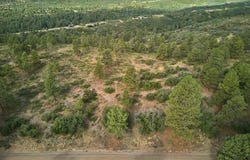 1649 Sheep Springs Road, Durango, CO 81301