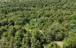 0 Oak Bend, Cecil, AR 72930