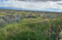 Highway 17, Moffat, CO 81143